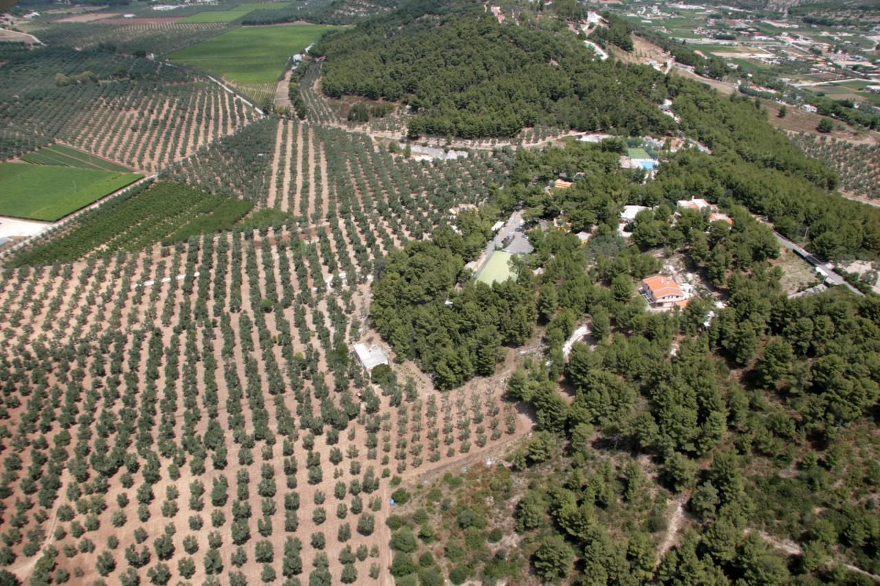 Villaggio Elisena Vieste Bagian luar foto
